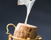 「鯛の鯛」と胸ビレの関係