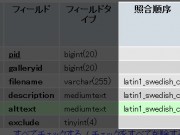作業開始早々いきなり文字化けの壁が、、、NextGen Gallery