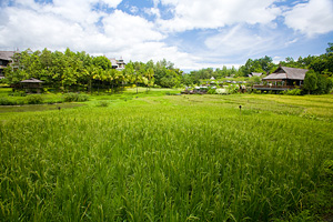 田んぼでリゾート