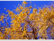 go to this post
