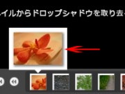 PicasaでDfgallery1.0のxmlと画像をエクスポート(4)