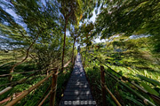 吊り橋：フォーシーズンズ・ゴールデン・トライアングルのパノラマを見る