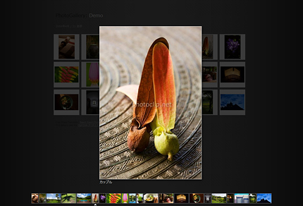 Highslide4.1.8+Picasa :: Demo