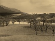 go to this post go to this post