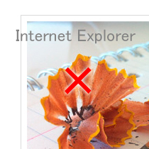 Internet Explorer はダメ