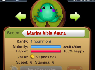 Marine Viola Anura