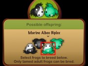 Pocket Frogs、なんちゃって改め「明日のカエル交配システム」