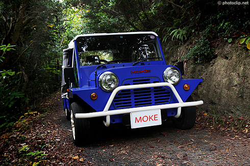 MOKE MOKE