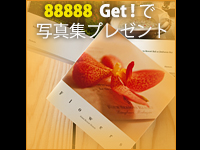 88888ゲットで写真集プレゼント