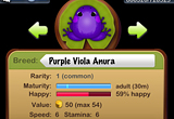 Purple Viola Anura Purple Viola Anura