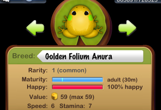 Golden Folium Anura 誕生