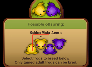 Golden Viola Anura を誕生させる