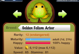 Golden Folium Arbor 誕生