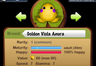 Golden Viola Anura 誕生