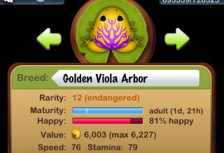 Golden Viola Arbor