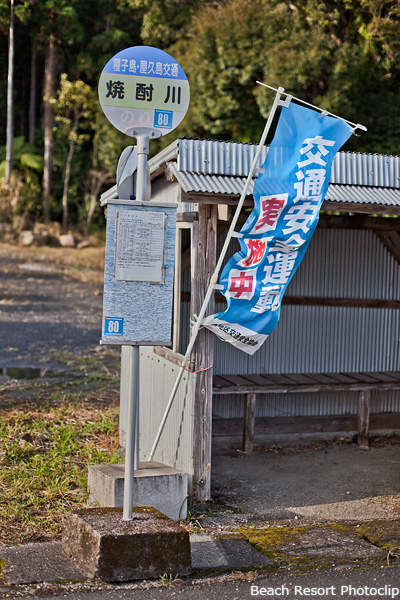 川のほとりで「交通安全」、、、無理でしょ(笑)