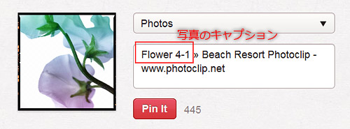 写真のキャプションも挿入することができました 写真のキャプションも挿入することができました
