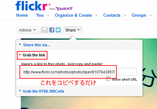 このURLをそのまま掲示板のテキストエリアにコピペ このURLをそのまま掲示板のテキストエリアにコピペ