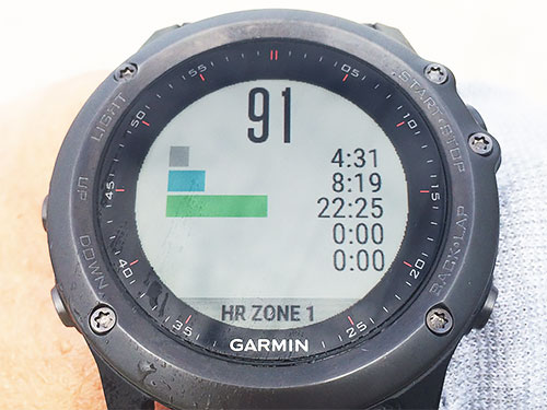 Heart Rate Zone Distributionを1項目表示