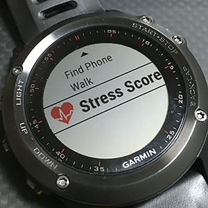 Stress Score
