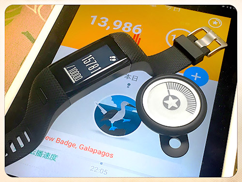 Withings GO (13986歩)& VSHR+ (15781歩)