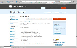 WordPress プラグイン :: Flexible Upload