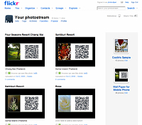 My Flickr