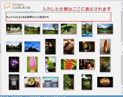 入力した文章はPicasaのサムネイル上部に表示されます