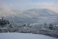 大雪