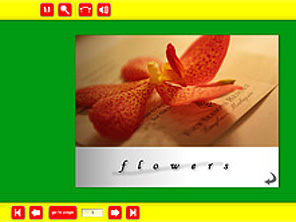 Picasa3+Flash Page Flip Galleryのカスタマイズ