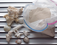 貝殻、サンゴ＆砂