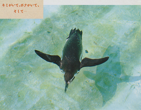 [動物写真館] 空飛ぶペンギン