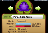 Purple Viola Anura
