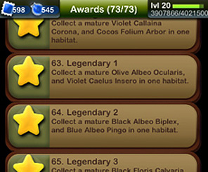Pocket Frogs Awards: Photo Gallery