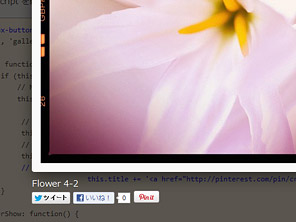 Fancybox 2 (Lightbox系jQueryプラグイン) で拡大された写真にソーシャルボタンを追加してみました