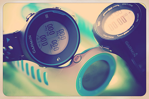 Garmin Forerunner のマスターリセット（610、210、110）とバックアップ(620、220、210、110)