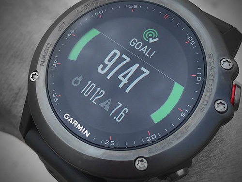 Garmin Fenix 3 浅いレビュー(13) 5000から始まったActivity TrackingのGOALは現在9739