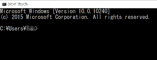 コマンドプロンプトが立ち上がりました