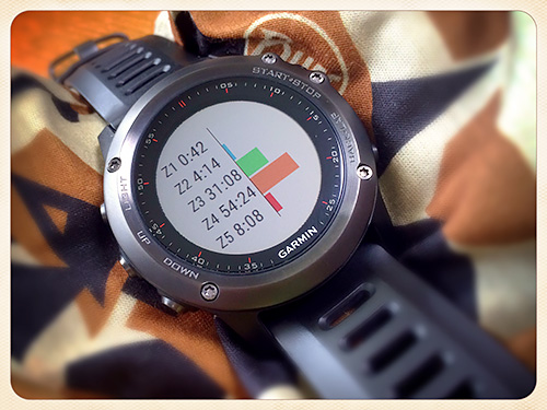 Garmin Fenix 3 浅いレビュー(32) 心拍ゾーンの分布が確認できるTime in Zoneなんていう機能があったのか