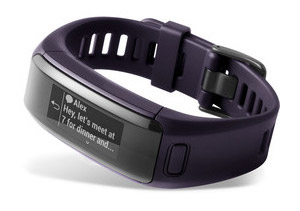 vivosmart HR J