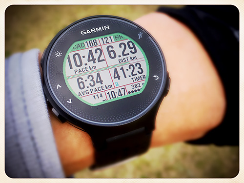 Garmin Forerunner 235 浅いレビュー(13) Data Screen一面に12項目「Dozen Run Field」