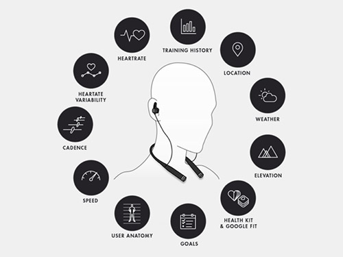 INPUTS & SENSORS