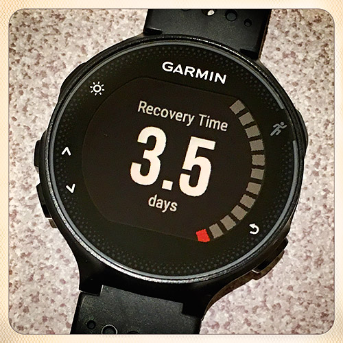 Garmin FR235「Recovery Time – 3.5days」なんて出るのか