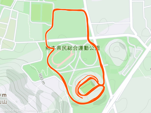 ラン近況(30) 熊本30K(30K走)やってきました