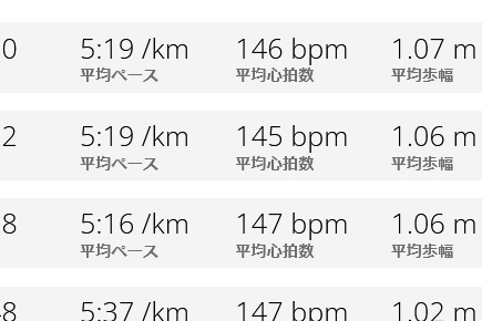 ラン近況(60) 我ながら苦笑のストライド、20・20・30km