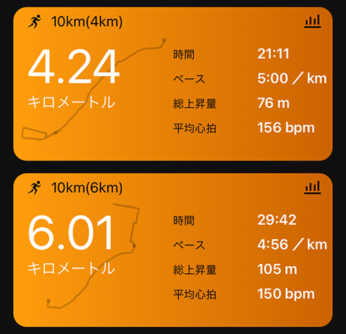 ラン近況(62) 最後のフルマラソンに向けてやるべきことはすべてやった